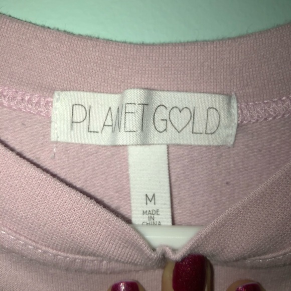 ✌️Last $$💧 Mauve Embroidered Crop Sweatshirt - Picture 2 of 2